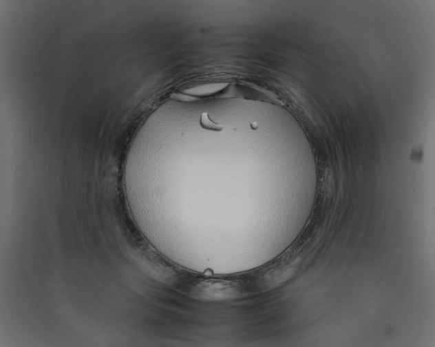 X0000089460557200707131951