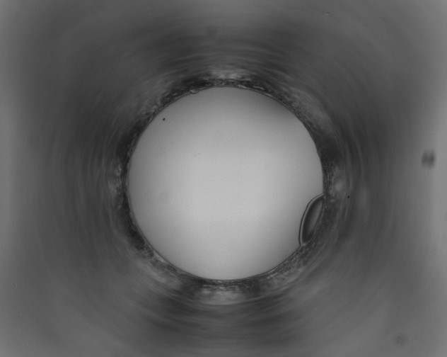 X0000089460559200707131951