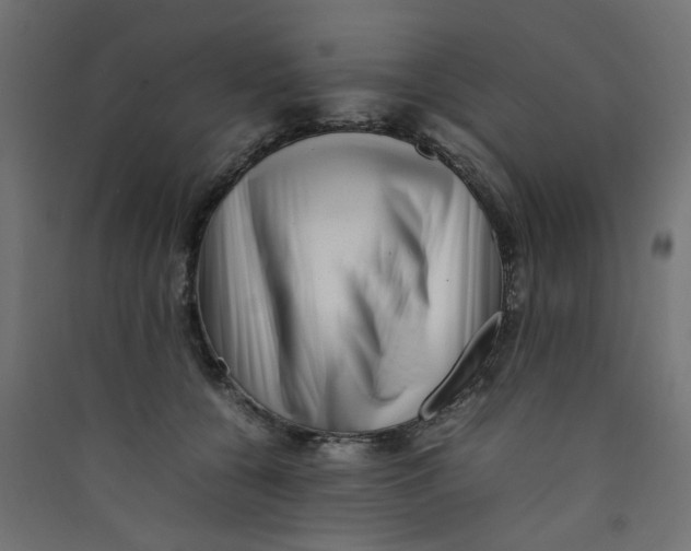 X0000089460560200707131951