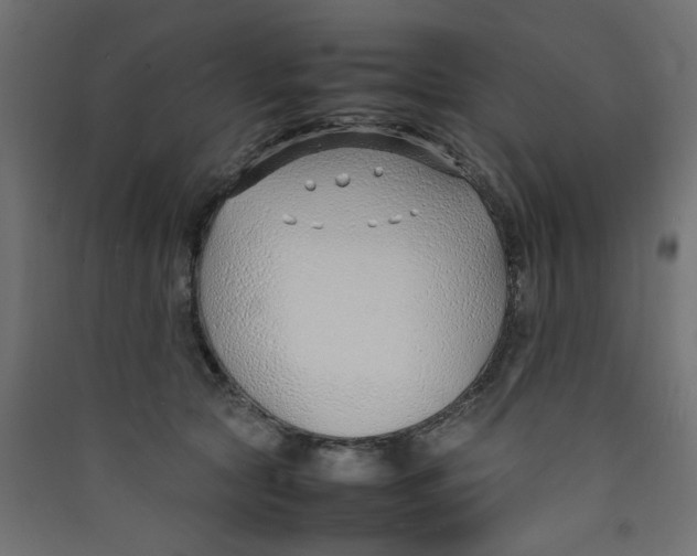 X0000089460561200707131951