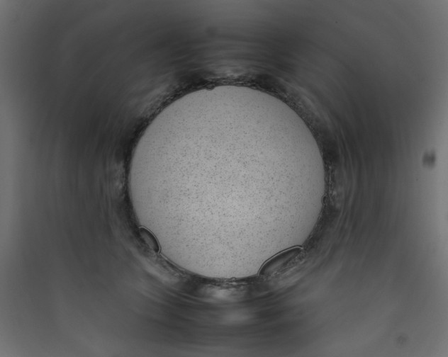 X0000089460563200707131951