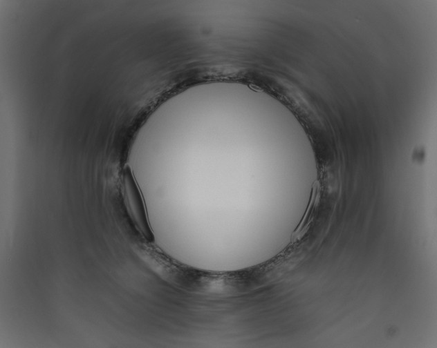 X0000089460564200707131951