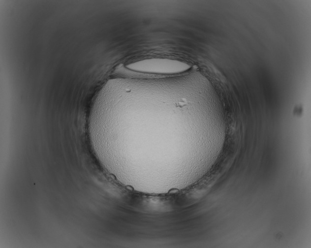 X0000089460565200707131951