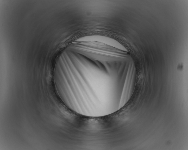 X0000089460566200707131951