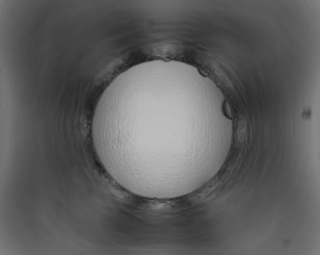 X0000089460569200707131951