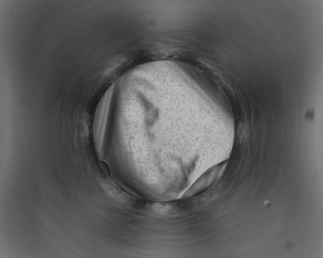 X0000089460570200707131951