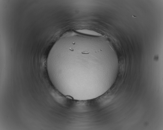 X0000089460574200707131951