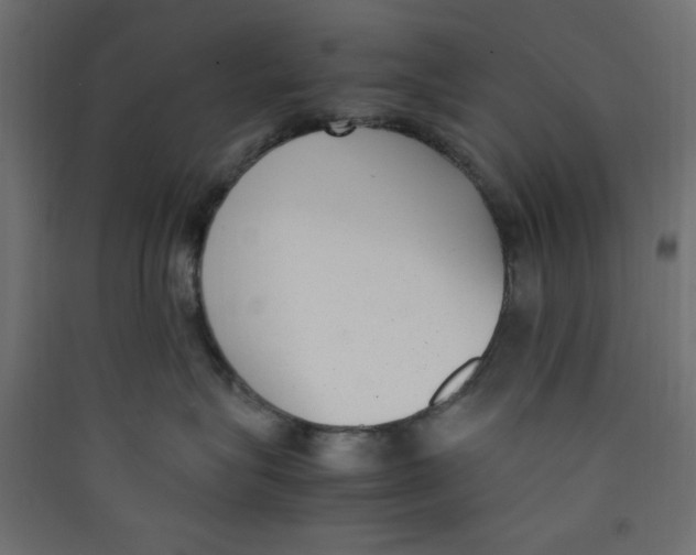 X0000089460575200707131951