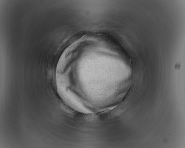 X0000089460576200707131951