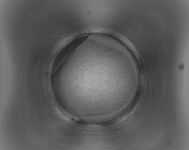 X0000089460577200707131950