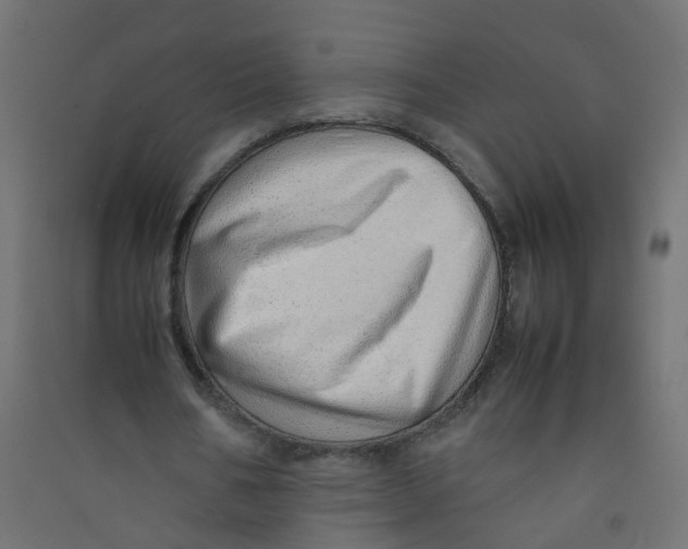 X0000089460578200707131950