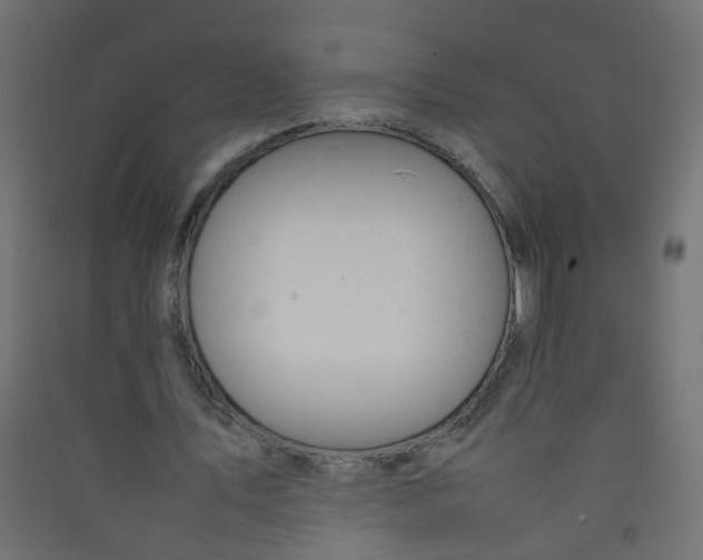 X0000089460579200707131950