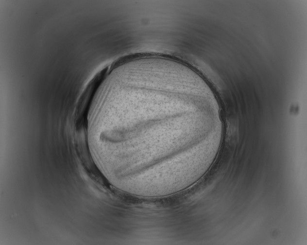 X0000089460580200707131950