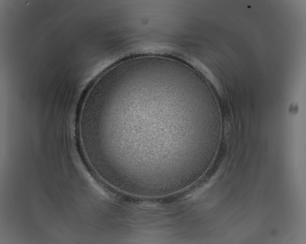 X0000089460581200707131950