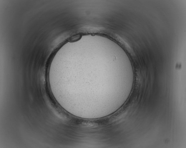 X0000089460582200707131950