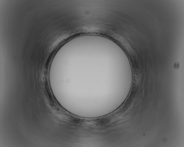 X0000089460583200707131950