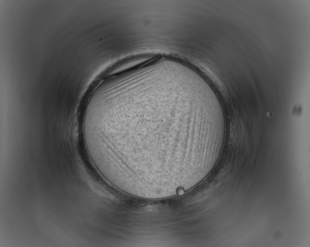 X0000089460584200707131950