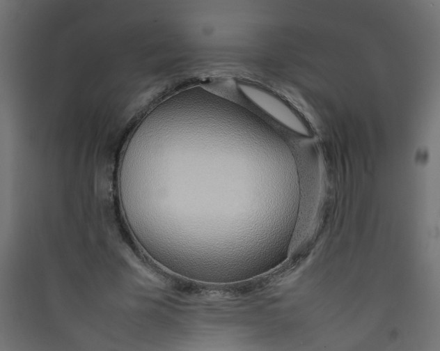 X0000089460585200707131950