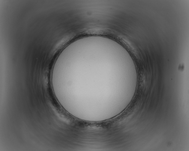 X0000089460586200707131950