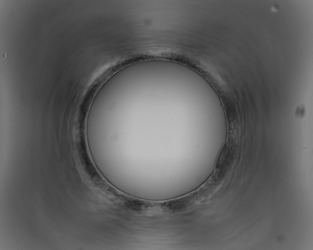 X0000089460587200707131950