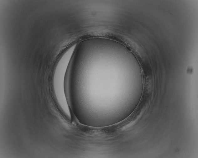 X0000089460589200707131950