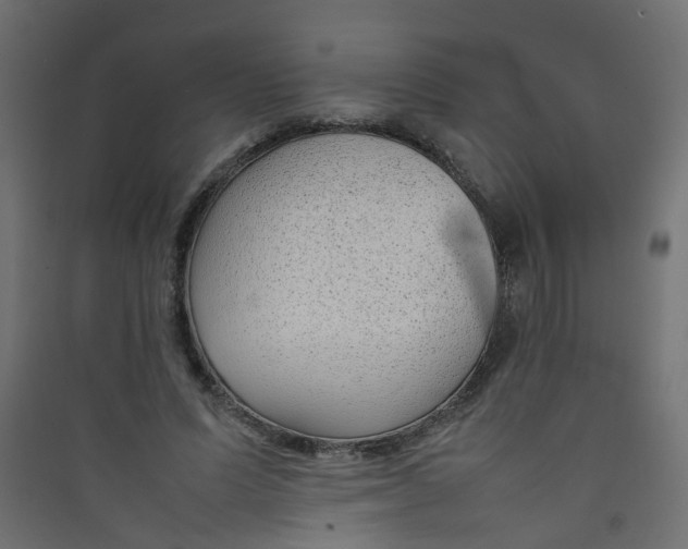 X0000089460591200707131950