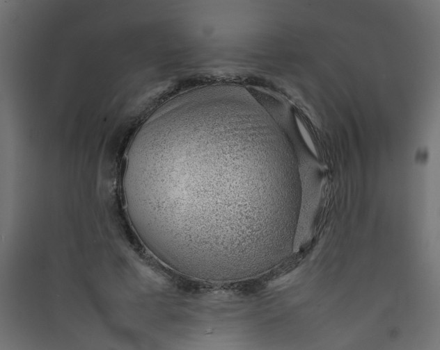 X0000089460593200707131950