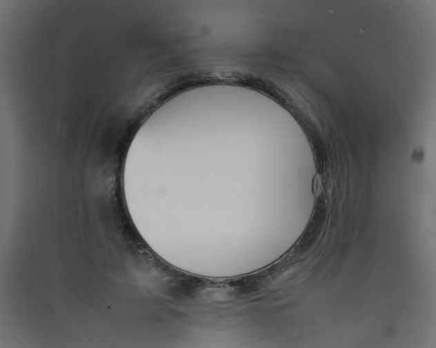 X0000089460595200707131950