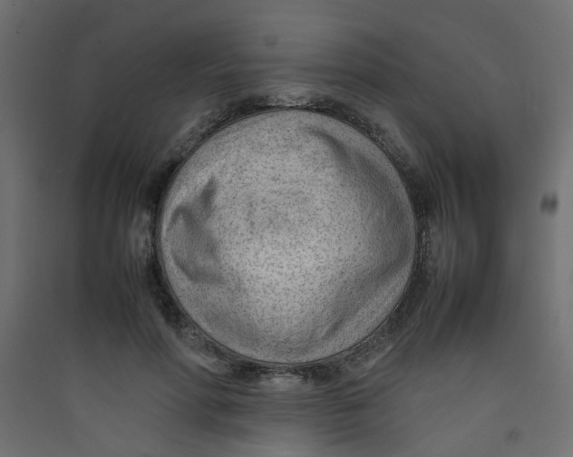 X0000089460598200707131950