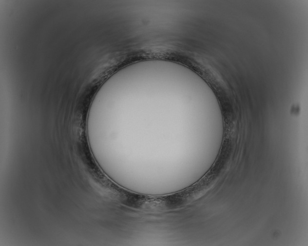 X0000089460599200707131950