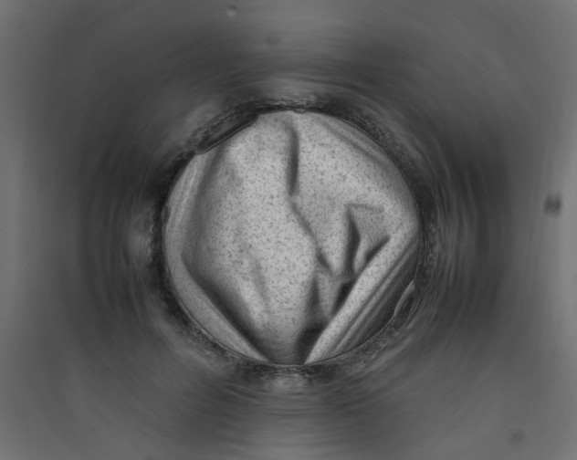 X0000089460600200707131950