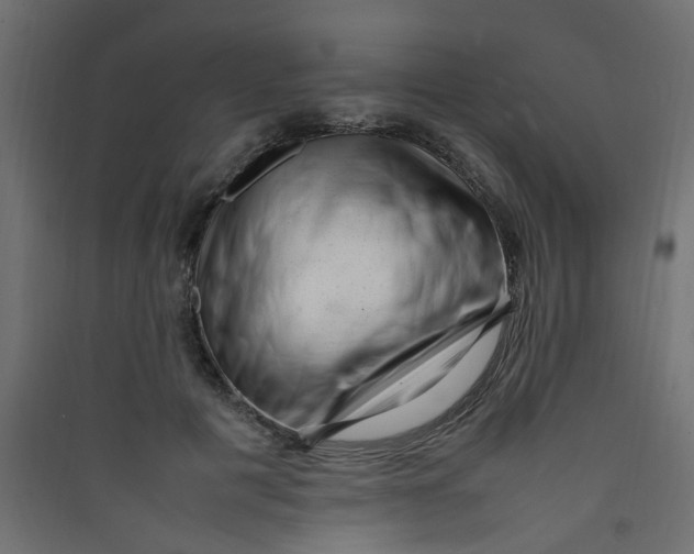 X0000089460601200707131950