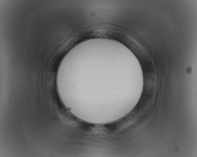 X0000089460603200707131950