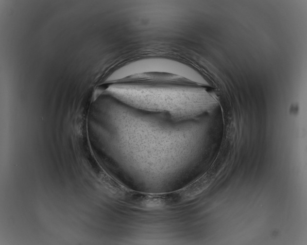 X0000089460604200707131950