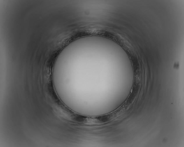 X0000089460605200707131950