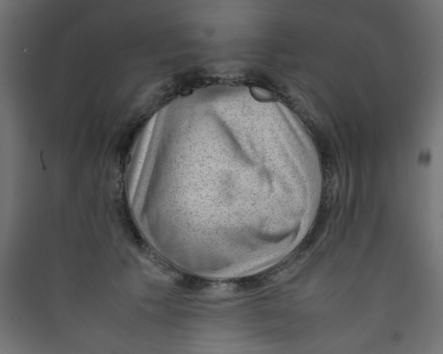 X0000089460609200707131950