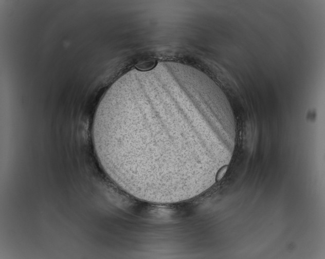 X0000089460610200707131950