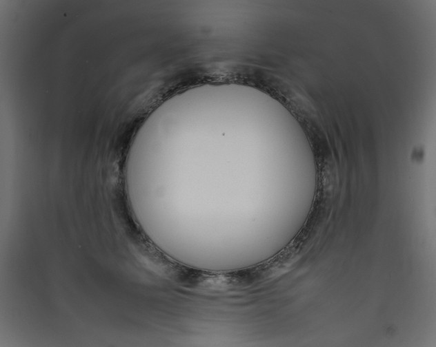 X0000089460611200707131949