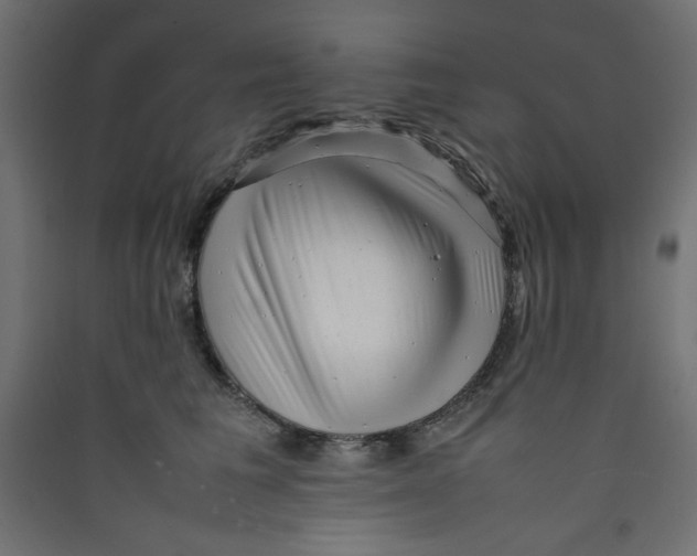 X0000089460613200707131949