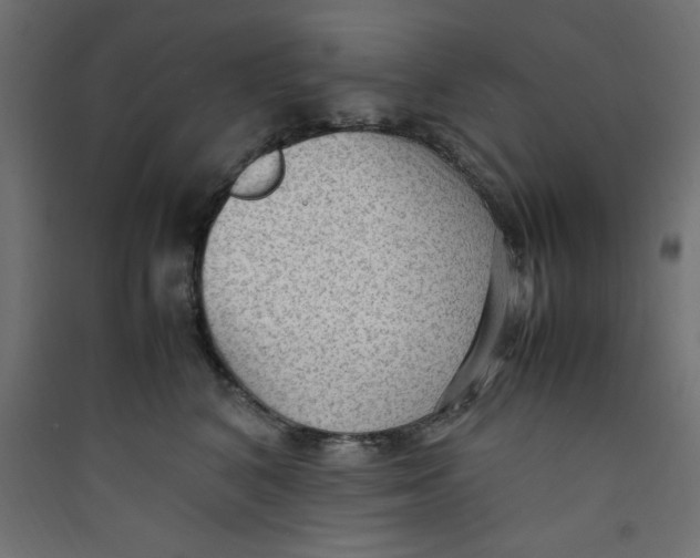 X0000089460616200707131949