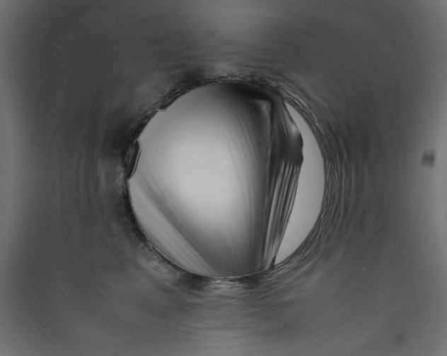 X0000089460617200707131949