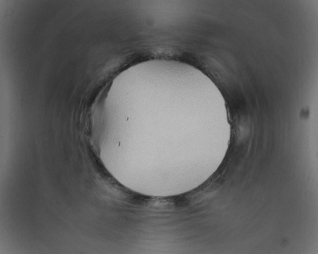 X0000089460619200707131949