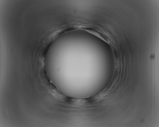 X0000089460621200707131949