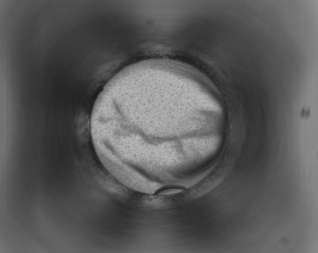 X0000089460624200707131949