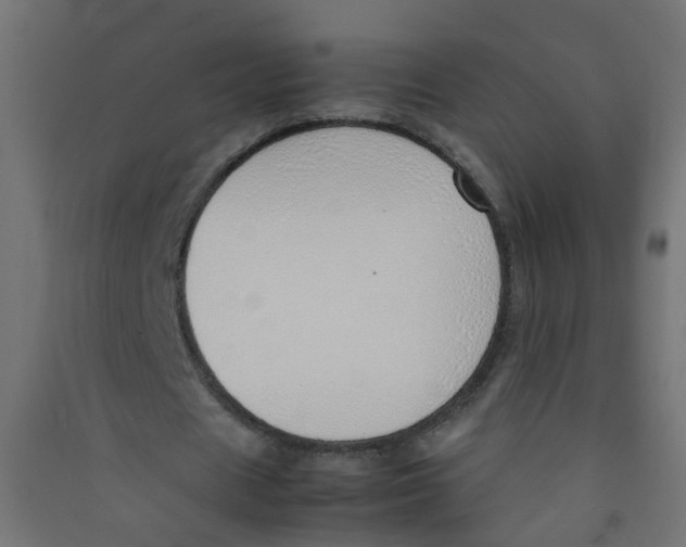 X0000089460625200707131949