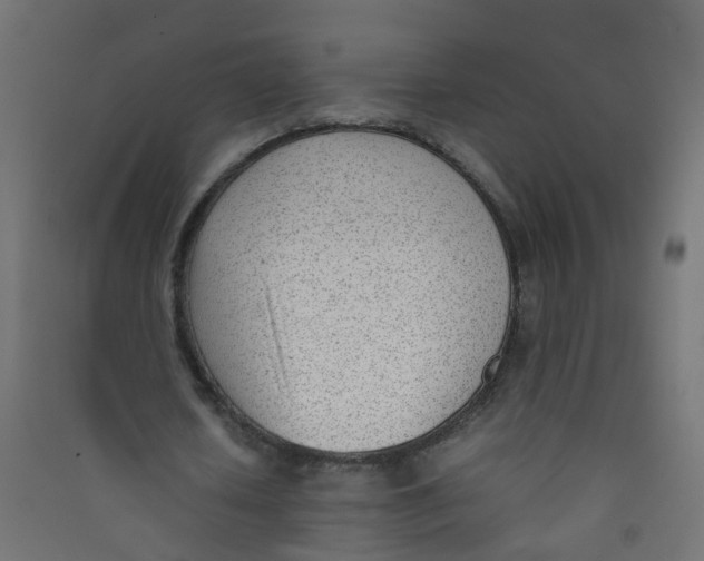 X0000089460626200707131949