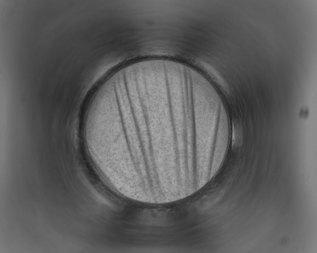 X0000089460627200707131949