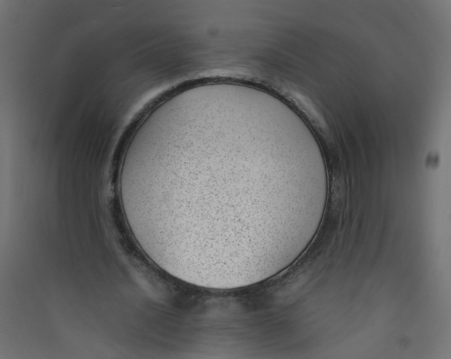 X0000089460628200707131949