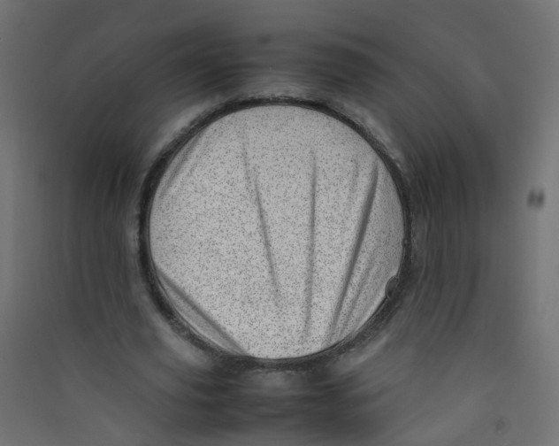 X0000089460629200707131949