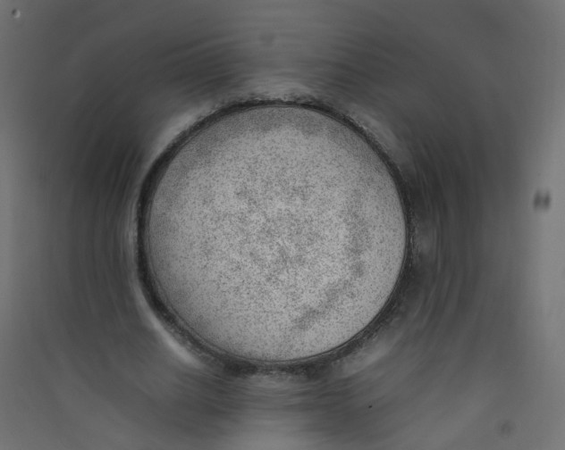 X0000089460630200707131949